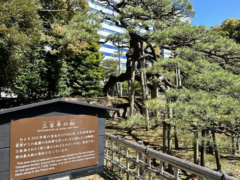 Japan's - Shogun and Samurai Trail